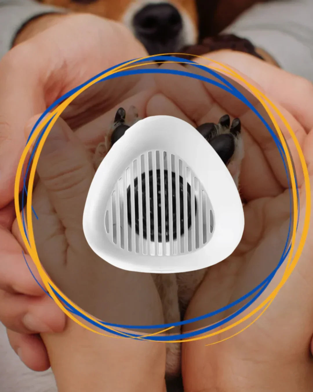 Dog paw with a white cone-shaped pet device lipaw held by a person's hands. love between human and dog. how to love your dog longer