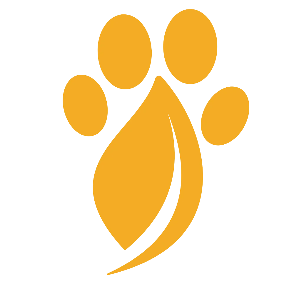 Yellow paw print on a white background