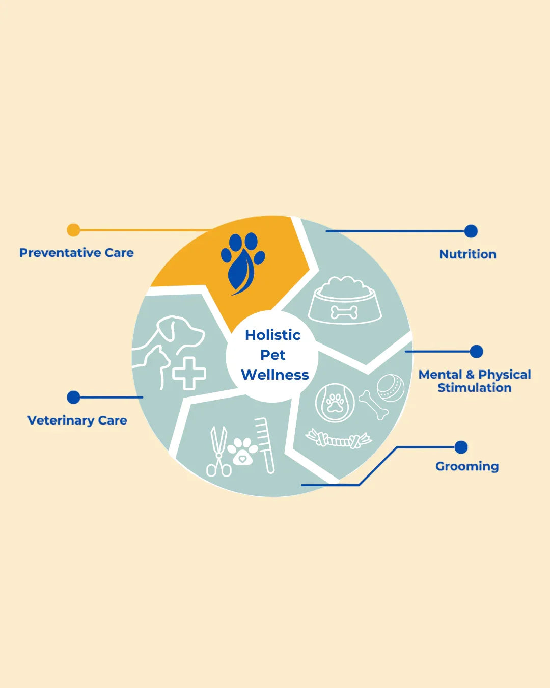 Diagram of holistic pet wellness with various components on a beige background