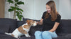 Lipaw video, how to use lipaw. how to clean dog toy, easy way to clean dog bowl 